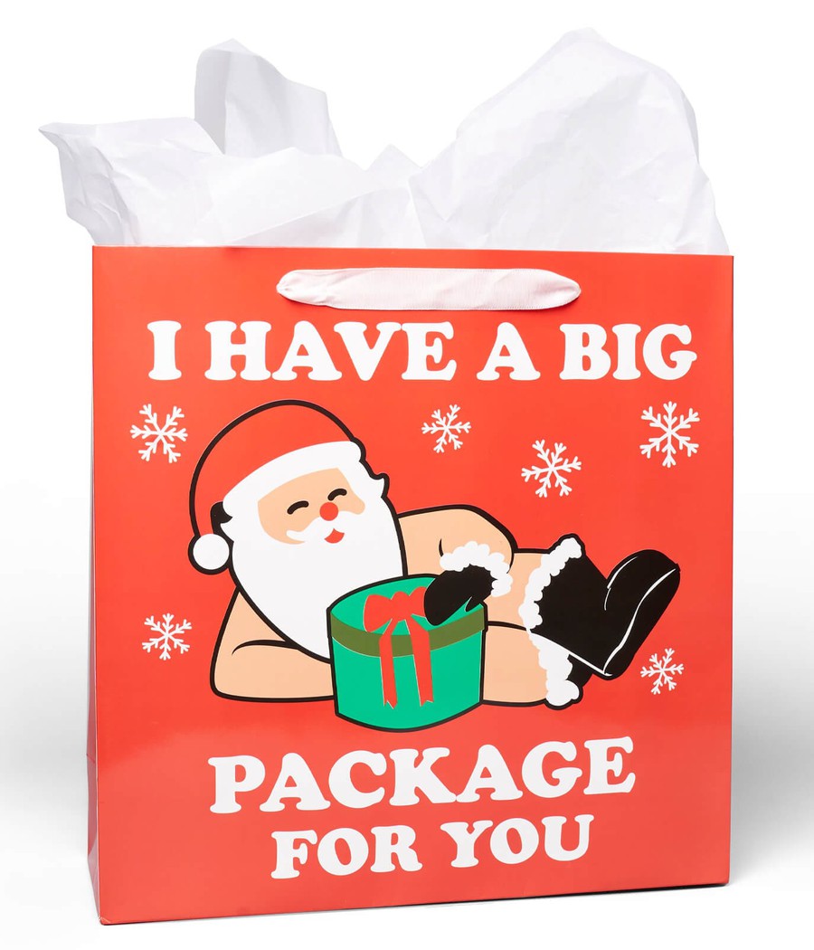 Naughty Santa Gift Bags - Set of 6