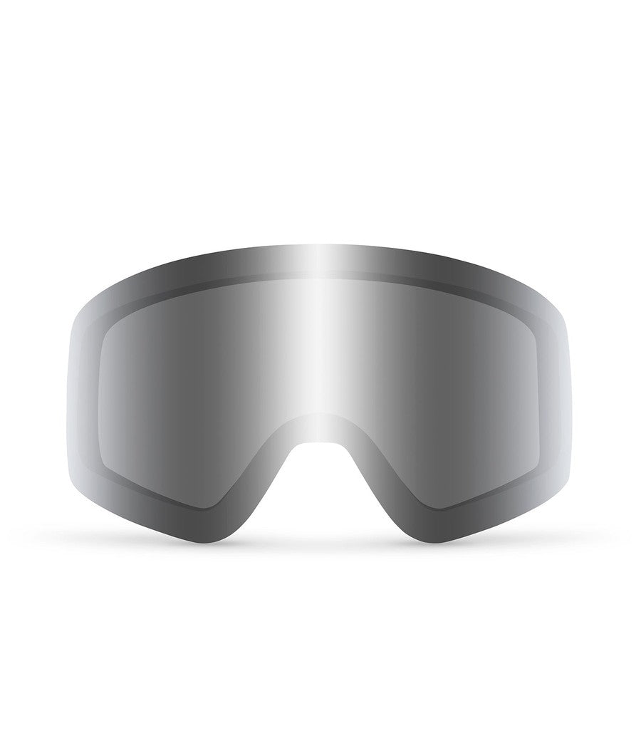 Gray CASCADE Snow Goggle Lens Image 2
