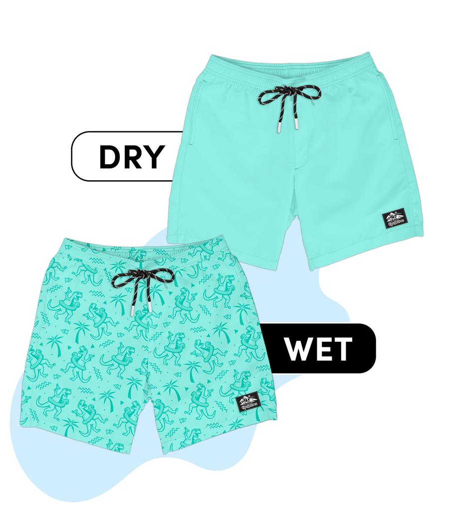Dino Palm Trees Color Changing Swim Trunks Image 2