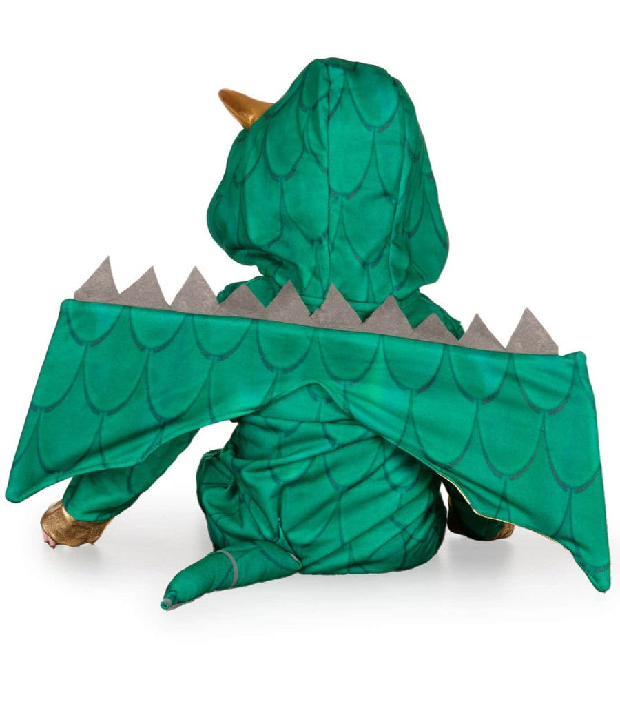 Baby Boy's Dragon Costume