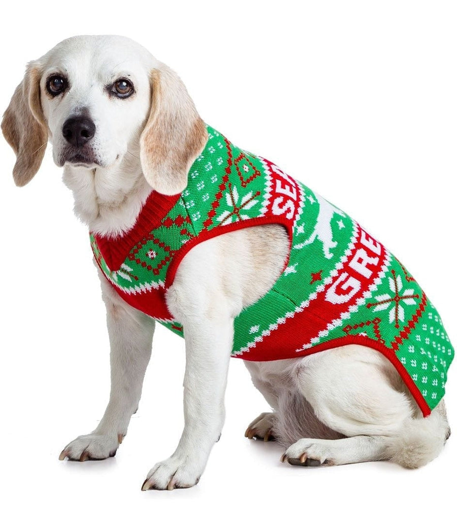 Seasons Greetings Dog Sweater