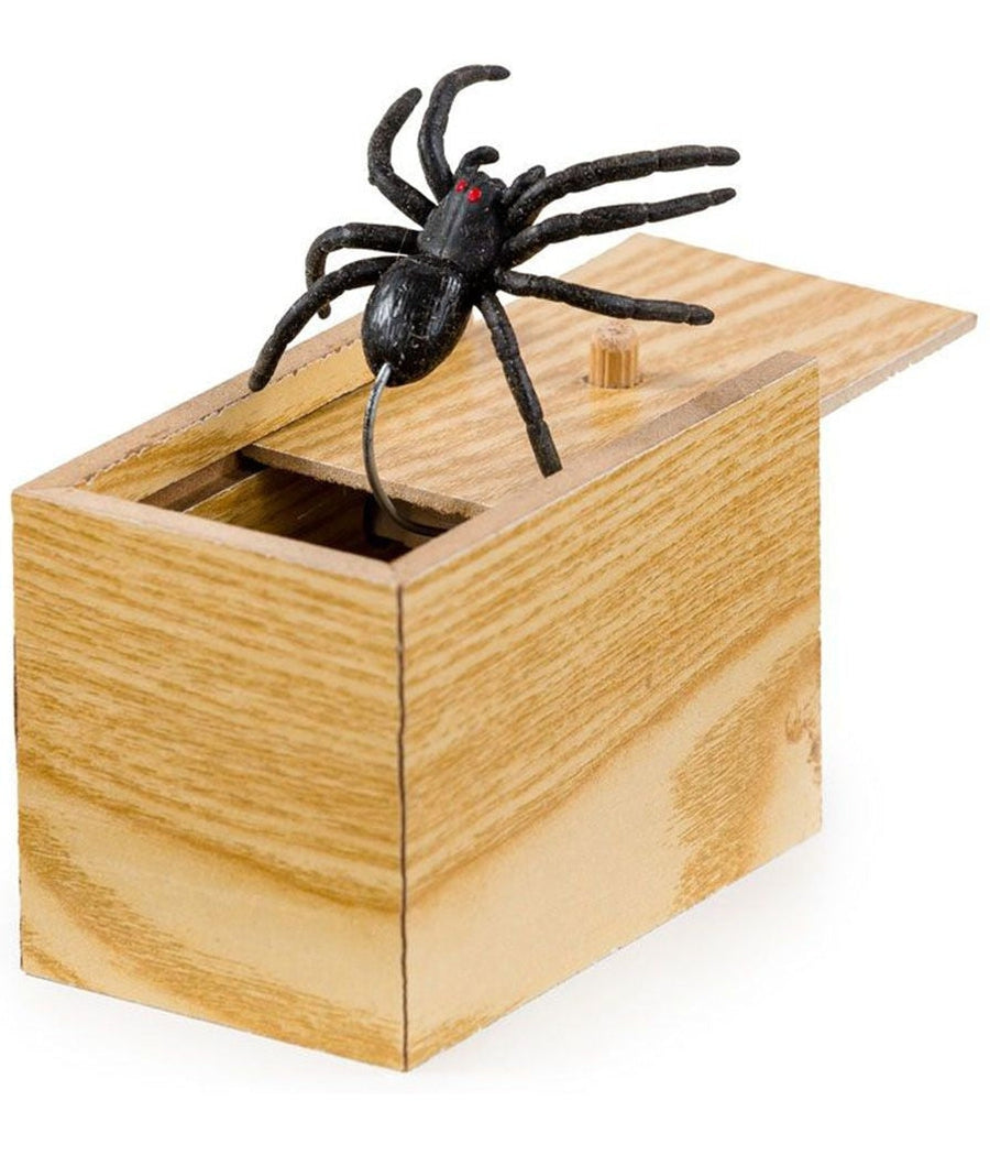 Spider Box Prank