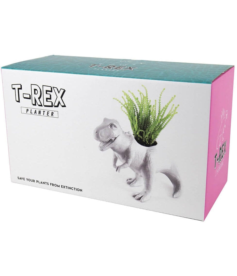 dinosaur plant pot T-Rex Planter