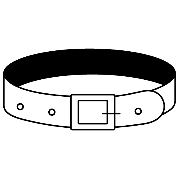 includes <p> belt</p>