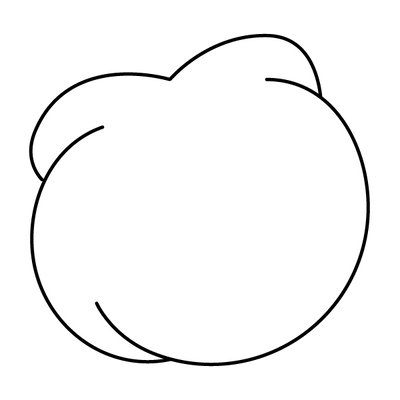 fluffy tail <p> attached</p>