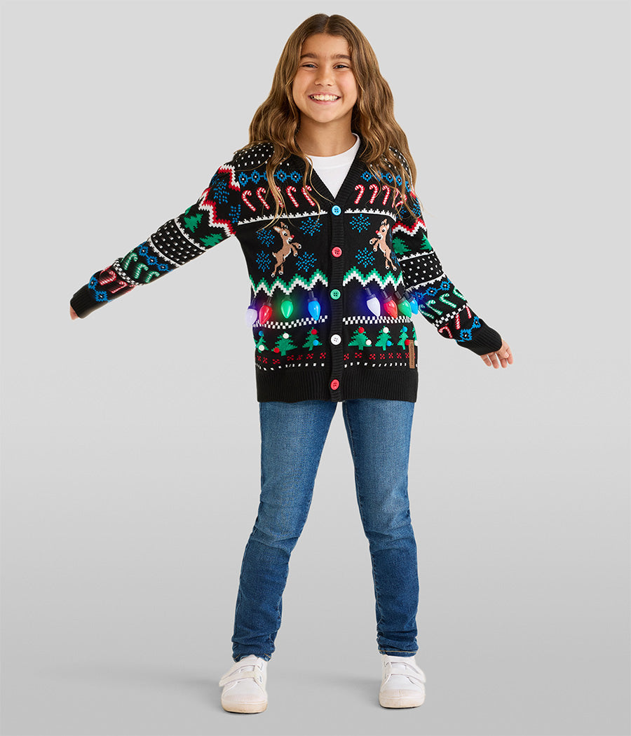 Matching Fair Isle Rudolph Light Up Family Cardigan Sweaters