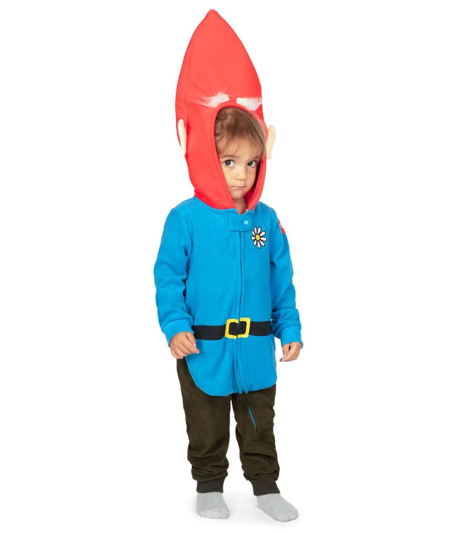 Toddler Boy's Gnome Costume