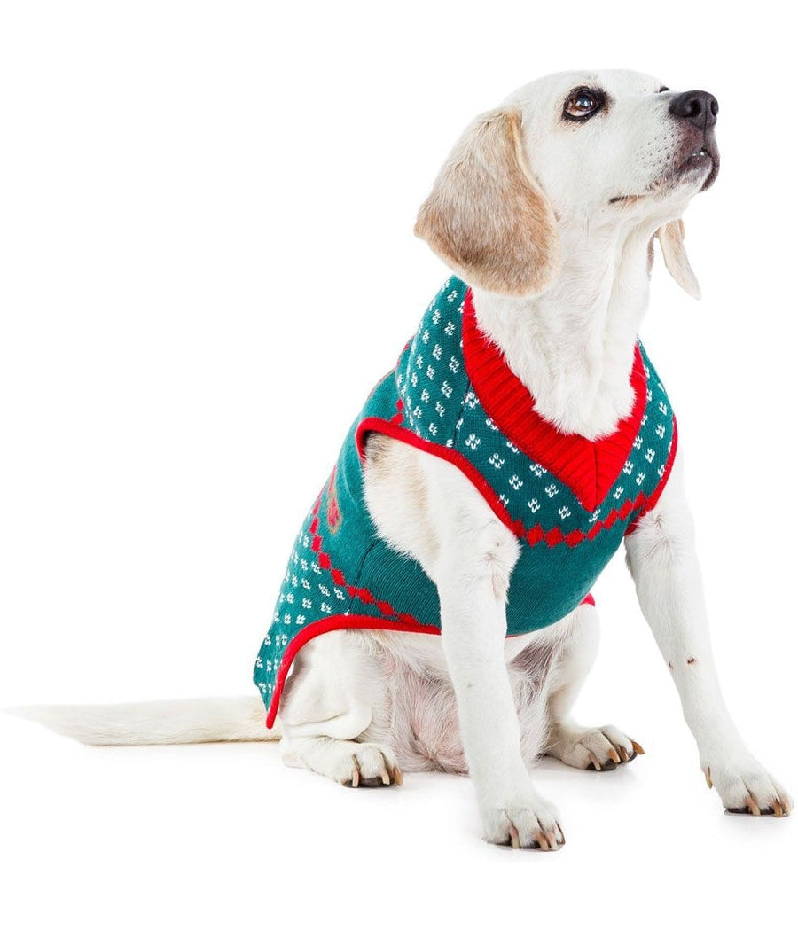 Little Present Dog Sweater Image 2::Little Present Dog Sweater