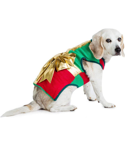 Gold Bow Dog Sweater Image 2
