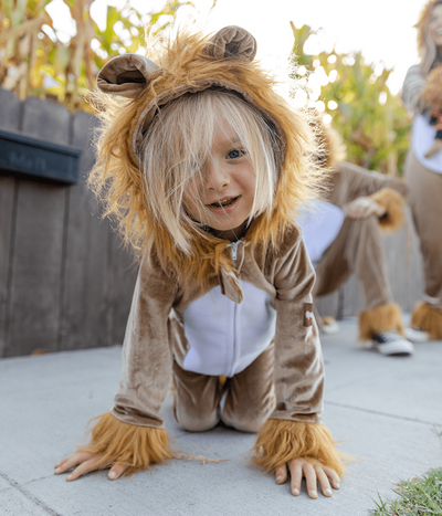 Baby / Toddler Lion Costume Primary Image