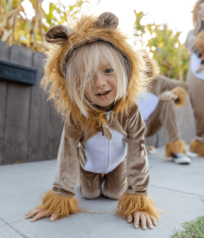 Baby / Toddler Lion Costume