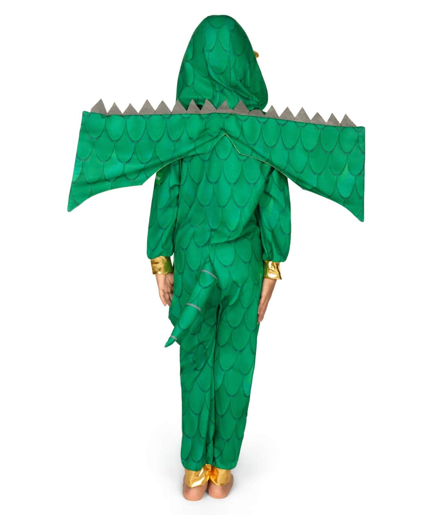 Boy's Dragon Costume