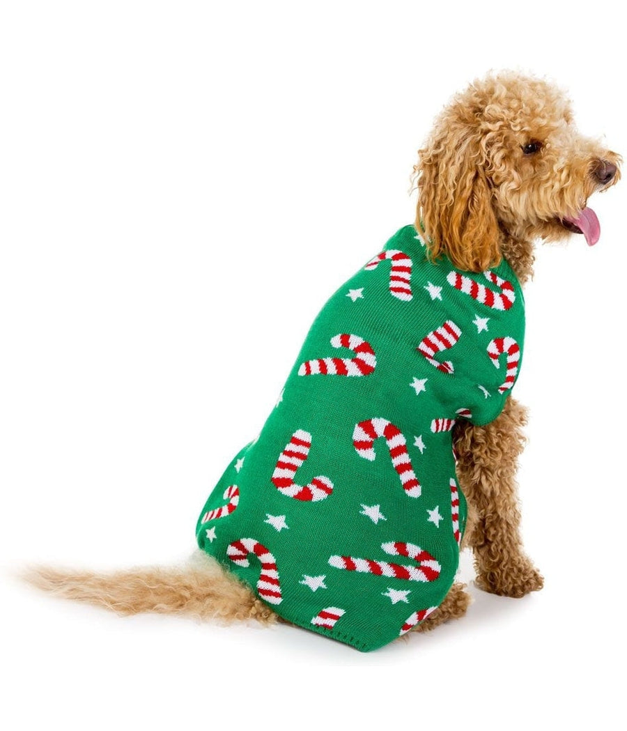 Candy Cane Dog Ugly Christmas Sweater