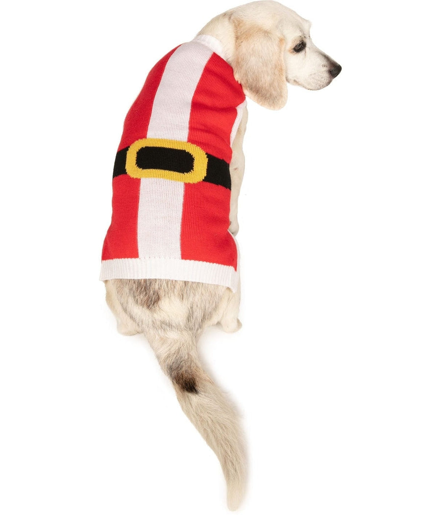 Santa Claws Dog Sweater