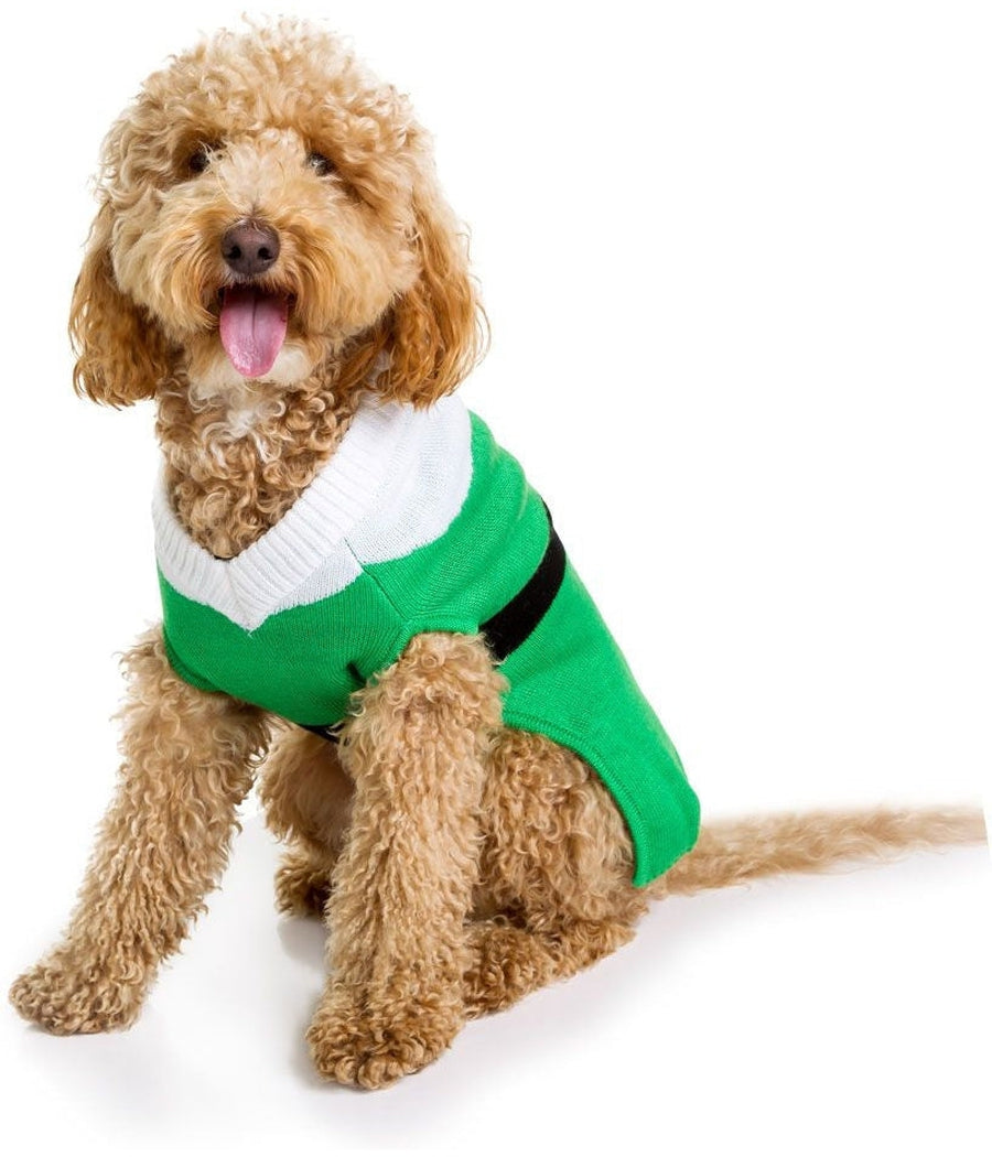 Elf Dog Sweater Image 2