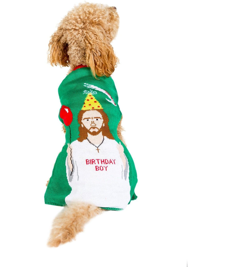 Birthday Boy Dog Sweater