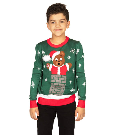 Boy's Beary Stuck Build a Bear Sweater