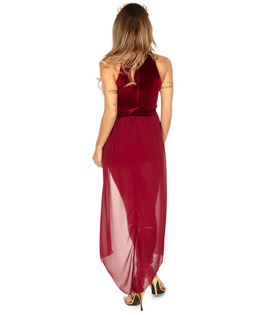 Wine Goddess Costume Dress